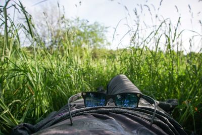 Midsection of person with sunglass lying down on grassy field