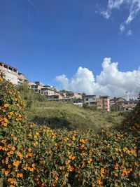 Low angle view of townscape against sky