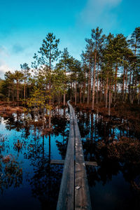 View of pier in lake against sky