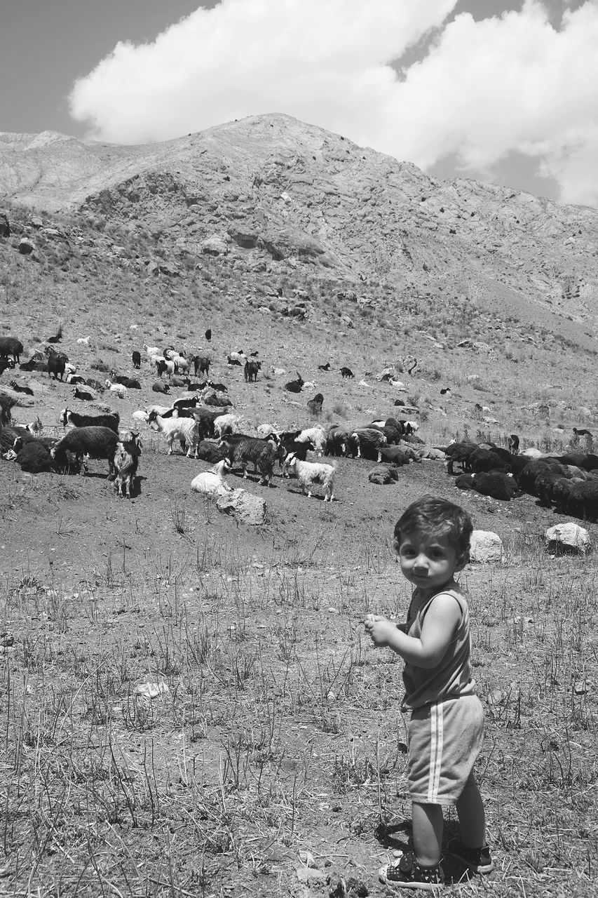 PEOPLE ON MOUNTAIN LANDSCAPE