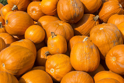 Full frame shot of pumpkins for sale at market