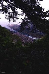 Scenic view of river amidst trees against sky