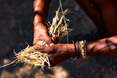 Cropped hand of person holding plant