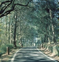 Road amidst trees in forest