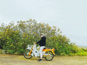 Man riding bicycle by tree against sky