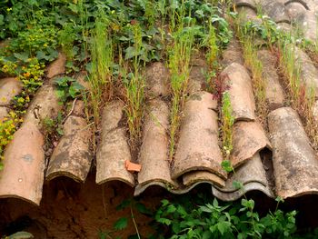 High angle view of roof tiles on field