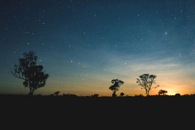 Silhouette trees on field against sky at night. starry night sky after sunset. 