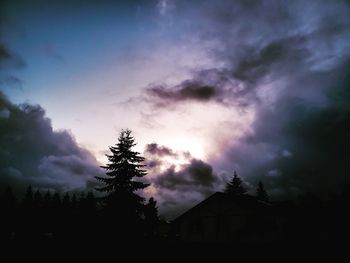 Low angle view of silhouette trees and building against sky