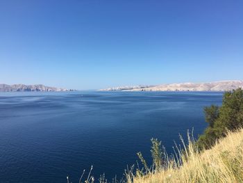 Scenic view of sea against clear blue sky