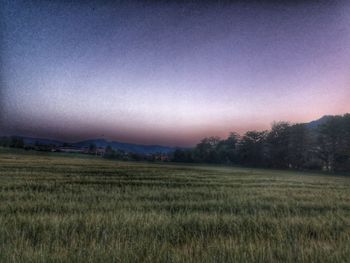 Scenic view of field against clear sky