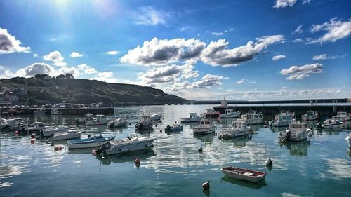 Boats in harbor