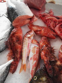 Close-up of fish for sale