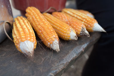 High angle view of crab on table