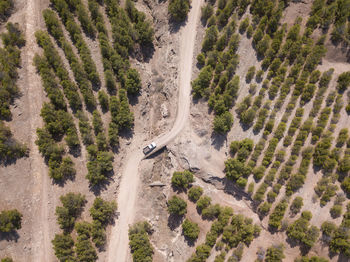 Aerial view of vehicle moving on road amidst trees