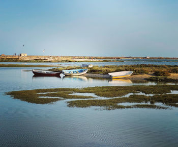 Boats moored in water against sky