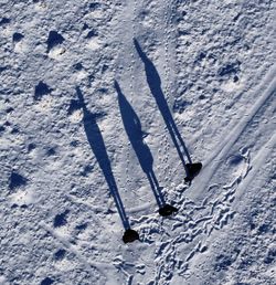 High angle view of people skiing on snow