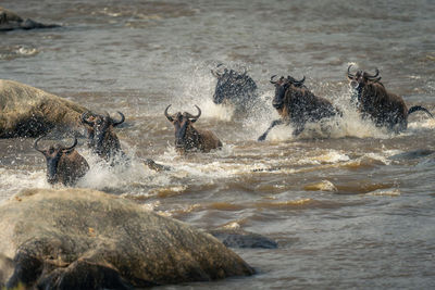 Close-up of water flowing in lake