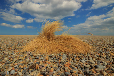 Stones on beach against sky