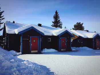 Snow covered trees on snow covered field