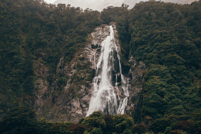 Scenic view of waterfall in forest