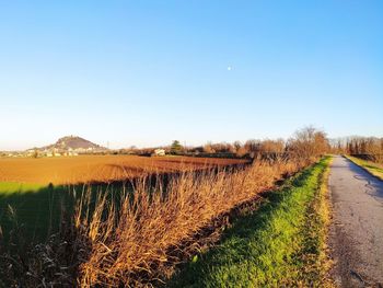Scenic view of agricultural field against clear sky