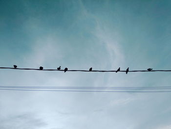 Low angle view of birds perching on cable against sky