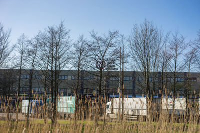 Bare trees on field against sky