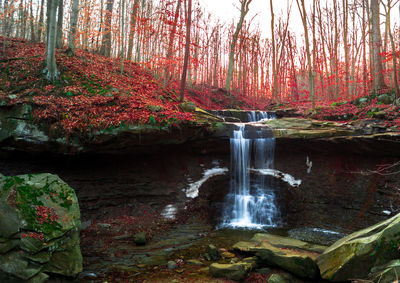 Scenic view of waterfall in forest