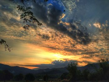 Low angle view of silhouette trees against dramatic sky
