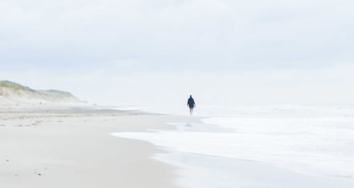 Bird on beach against sky