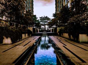 Swimming pool by trees against sky