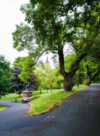 Empty road along trees
