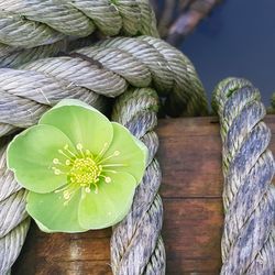 Close-up of rope tied on wooden post