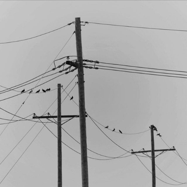 power line, power supply, electricity, electricity pylon, cable, fuel and power generation, connection, technology, low angle view, clear sky, power cable, pole, complexity, wire, sky, telephone pole, telephone line, day, outdoors, no people