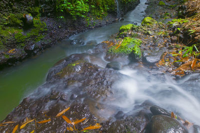 Stream flowing through rocks in forest