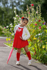 A beautiful little girl in a red dress and a white blouse with a pink cane umbrella.