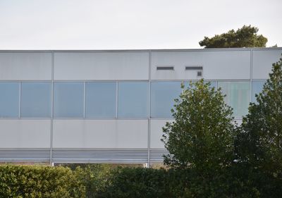 Plants growing by building against clear sky