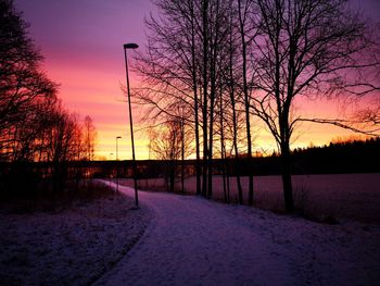 Silhouette bare trees on snow covered land during sunset