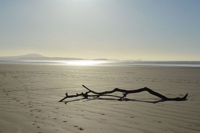 Scenic view of beach against clear sky