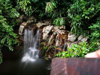 Waterfall in forest