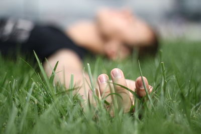 Close-up of grass