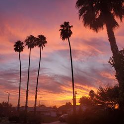 Low angle view of silhouette palm trees against dramatic sky