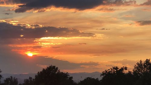 Silhouette trees against sky during sunset