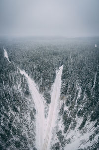 Aerial view of winter forest