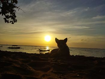 Scenic view of sea during sunset