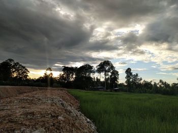 Trees on field against sky during sunset