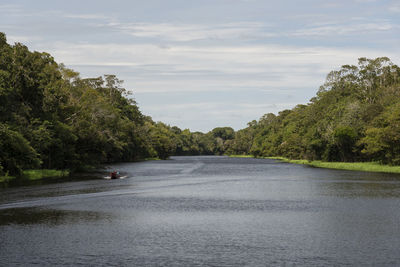 Typical amazon rainforest and river landscape with small boat