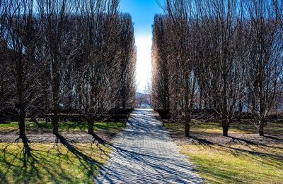 Footpath amidst trees against sky