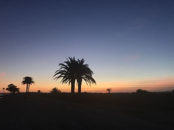 Silhouette palm trees on landscape against sky during sunset