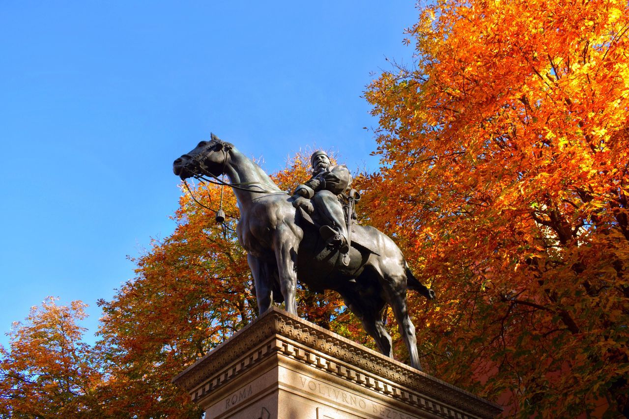 low angle view, statue, tree, human representation, art and craft, built structure, clear sky, blue, building exterior, sculpture, architecture, no people, outdoors, gold colored, travel destinations, sky, city, day